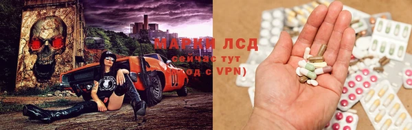 ГАЛЛЮЦИНОГЕННЫЕ ГРИБЫ Майский