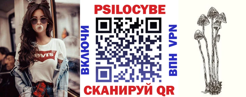 Псилоцибиновые грибы Cubensis  как найти   Питкяранта 
